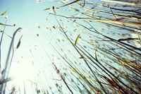 Vi har fået ny hjemmeside lavet af Tangora Software