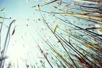 Vi har fået ny hjemmeside lavet af Tangora Software